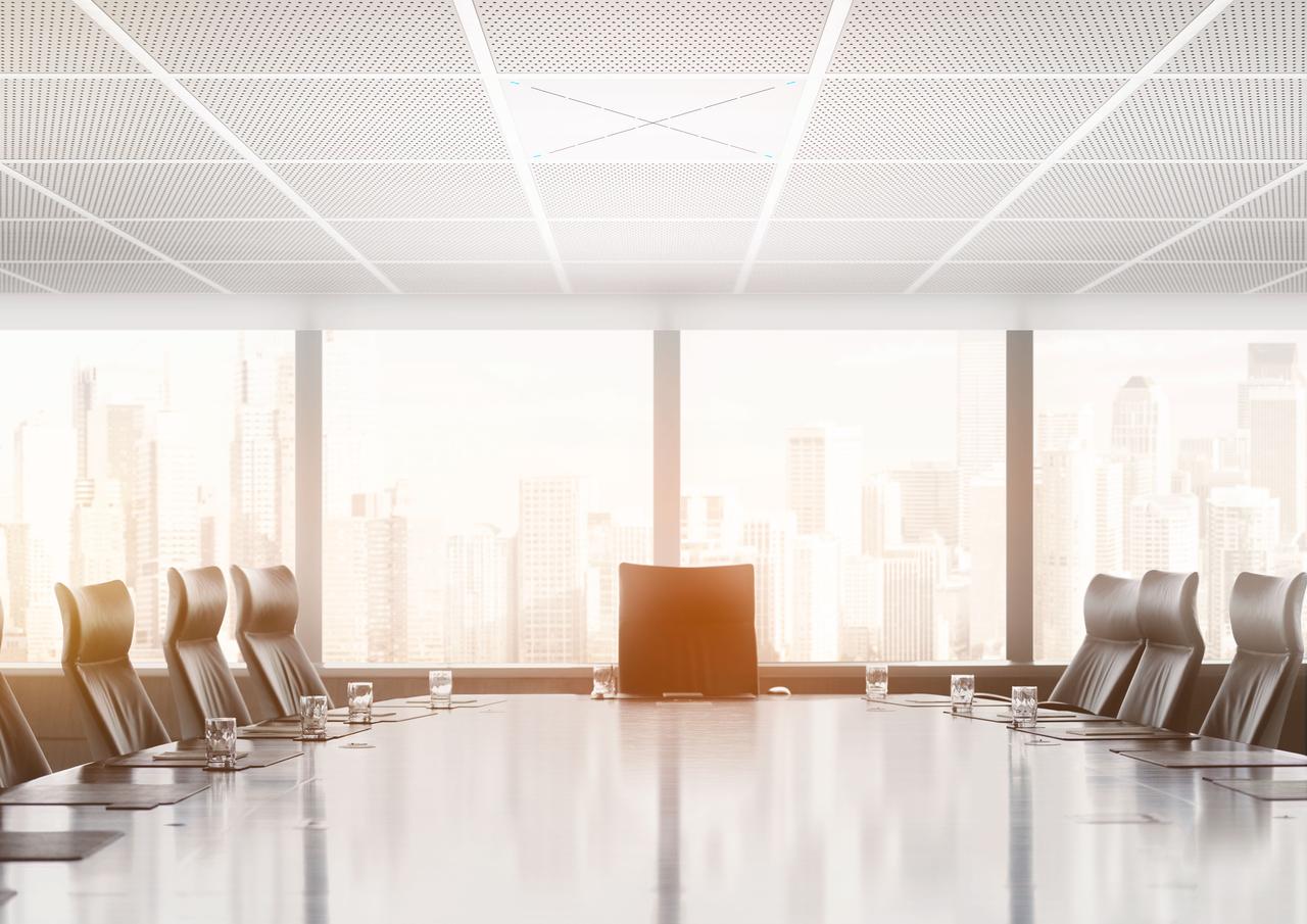 TeamConnect_Ceiling_Product_mood_shot_Conference_Room_03